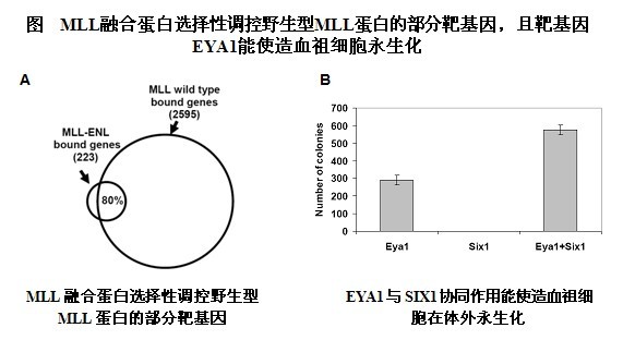 九游会·J9 - 国际官方网站 | 真人游戏第一品牌