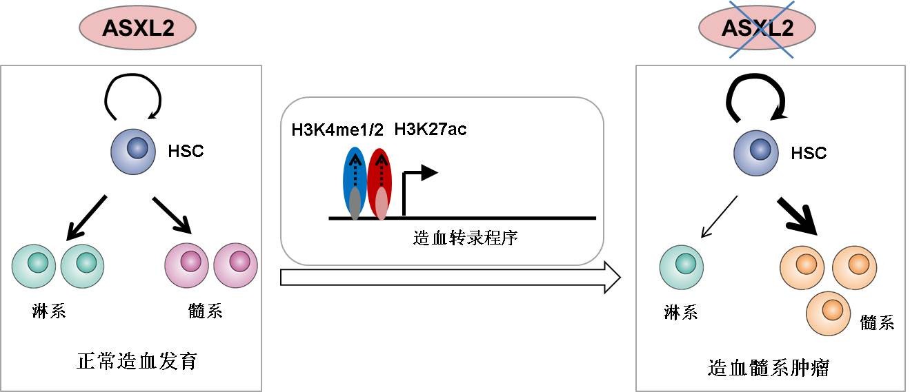 九游会·J9 - 国际官方网站 | 真人游戏第一品牌