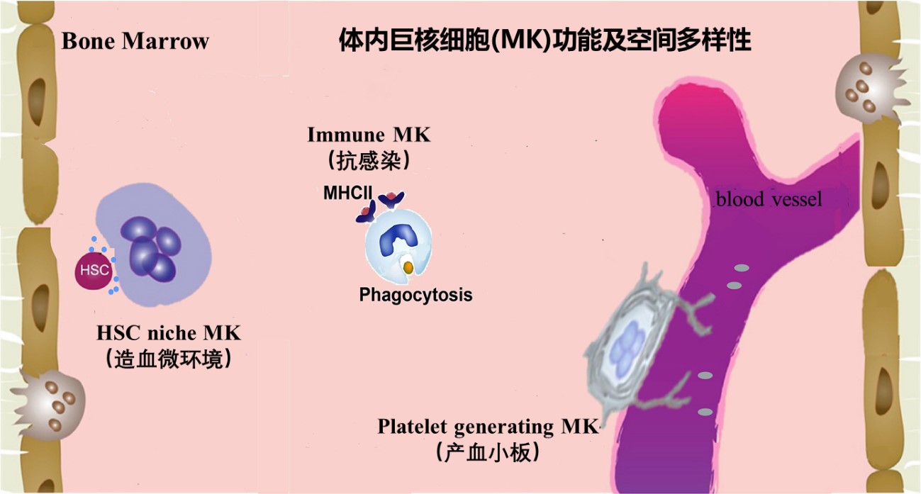 九游会·J9 - 国际官方网站 | 真人游戏第一品牌